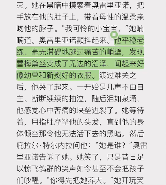 《百年孤独》中关于孤独与回忆的阅读摘录